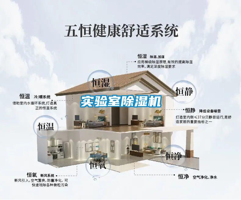 實(shí)驗室除濕機