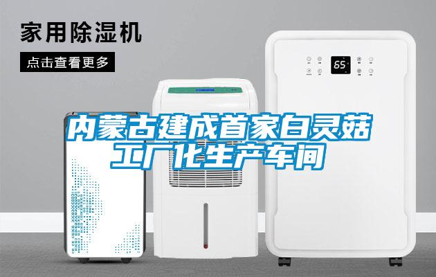 內蒙古建成首家白靈菇工廠(chǎng)化生產(chǎn)車(chē)間
