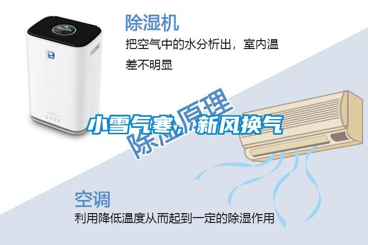 小雪氣寒，新風(fēng)換氣