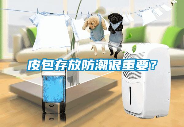 皮包存放防潮很重要？