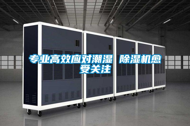 專(zhuān)業(yè)高效應對潮濕 除濕機愈受關(guān)注