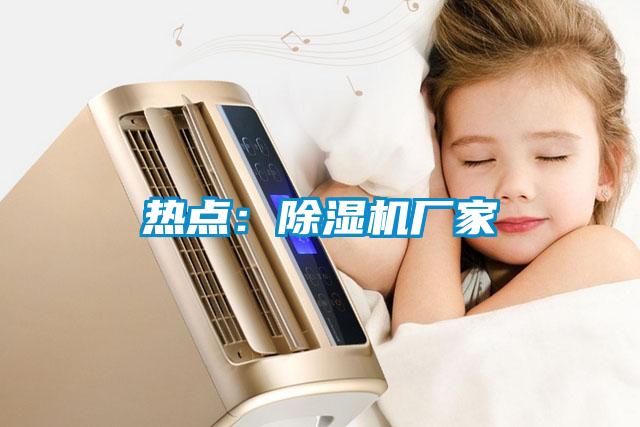 熱點(diǎn)：除濕機廠(chǎng)家