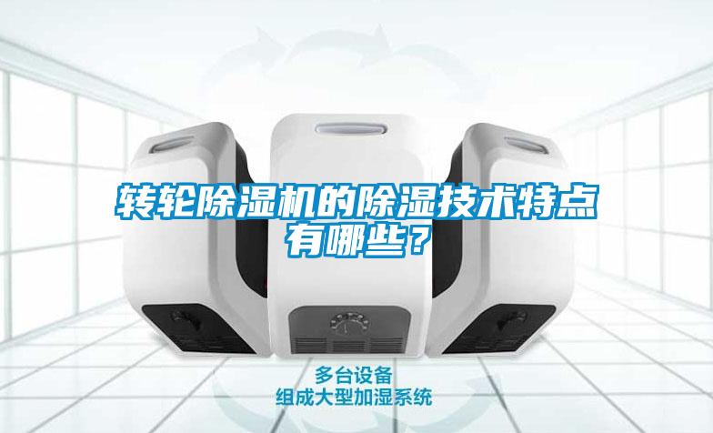 轉輪除濕機的除濕技術(shù)特點(diǎn)有哪些？