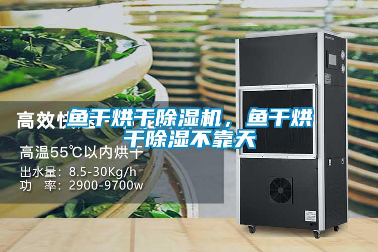 魚(yú)干烘干除濕機，魚(yú)干烘干除濕不靠天