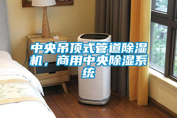 中央吊頂式管道除濕機，商用中央除濕系統
