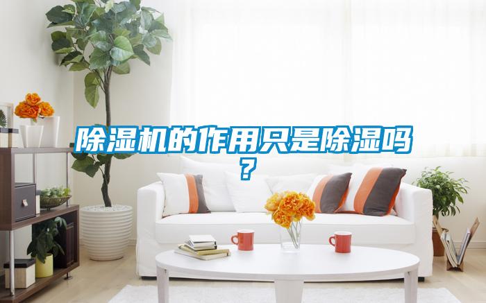 除濕機的作用只是除濕嗎？