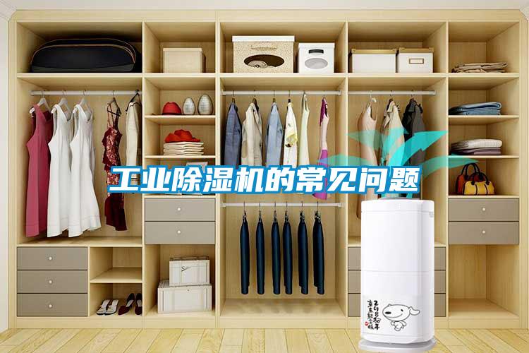 工業(yè)除濕機的常見(jiàn)問(wèn)題