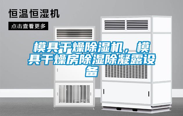 模具干燥除濕機，模具干燥房除濕除凝露設備