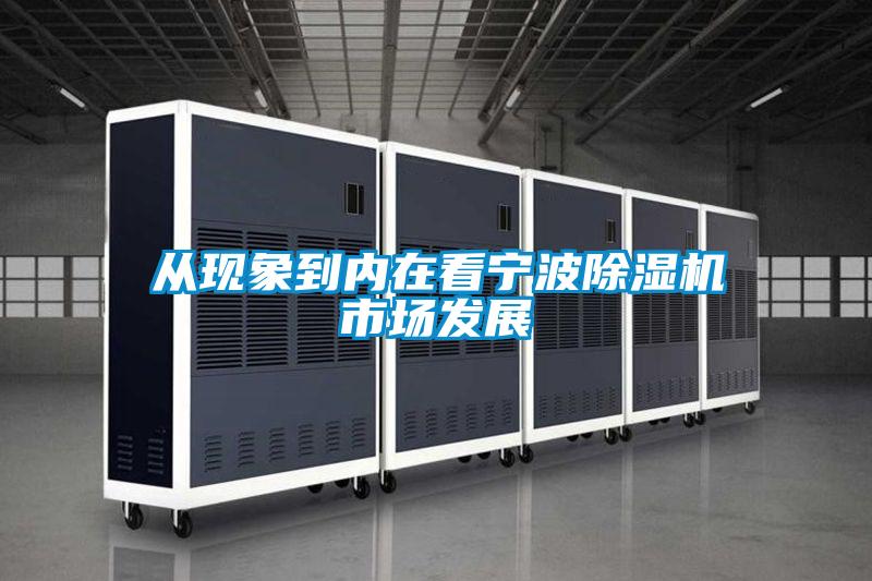 從現象到內在看寧波除濕機市場(chǎng)發(fā)展