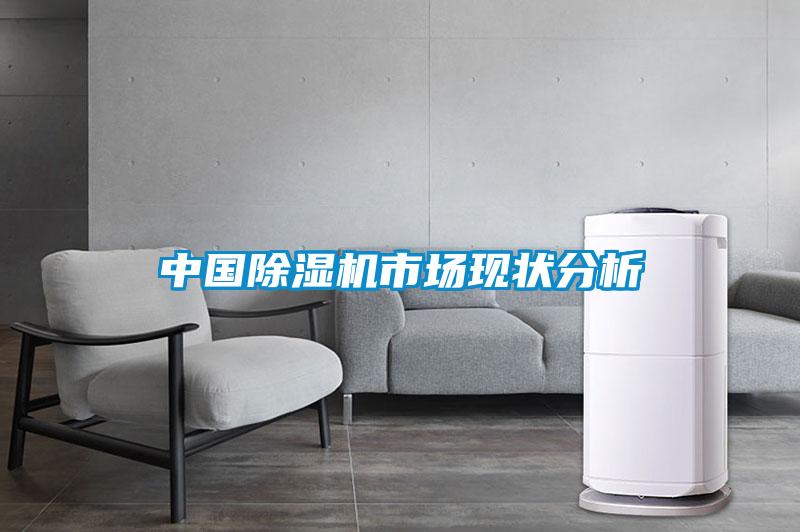 中國除濕機市場(chǎng)現狀分析