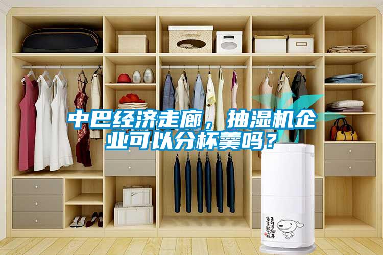 中巴經(jīng)濟走廊，抽濕機企業(yè)可以分杯羹嗎？