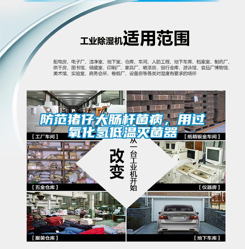 防范豬仔大腸桿菌病，用過(guò)氧化氫低溫滅菌器
