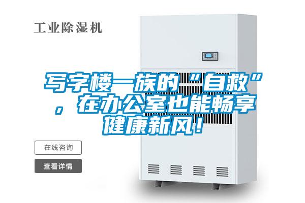 寫(xiě)字樓一族的“自救”，在辦公室也能暢享健康新風(fēng)！