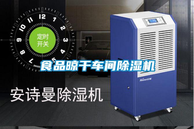食品晾干車(chē)間除濕機