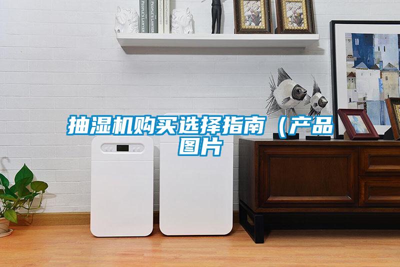 抽濕機購買(mǎi)選擇指南（產(chǎn)品圖片