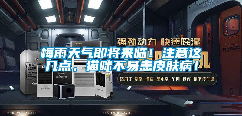梅雨天氣即將來(lái)臨！注意這幾點(diǎn)，貓咪不易患皮膚??！