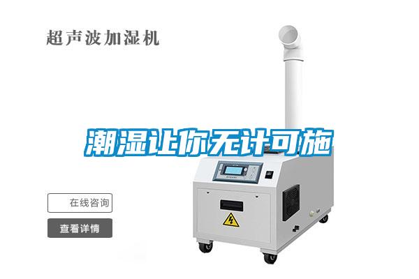 潮濕讓你無(wú)計可施