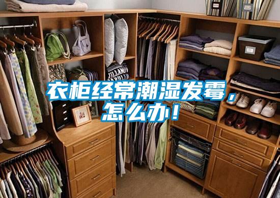 衣柜經(jīng)常潮濕發(fā)霉，怎么辦！