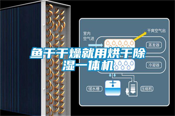 魚(yú)干干燥就用烘干除濕一體機