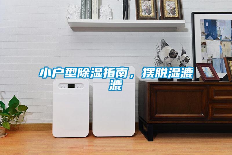 小戶(hù)型除濕指南，擺脫濕漉漉