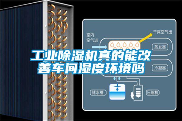 工業(yè)除濕機真的能改善車(chē)間濕度環(huán)境嗎