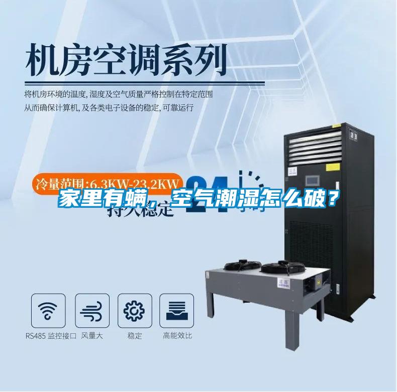 家里有螨，空氣潮濕怎么破？