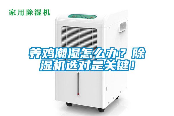 養雞潮濕怎么辦？除濕機選對是關(guān)鍵！