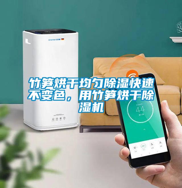 竹筍烘干均勻除濕快速不變色，用竹筍烘干除濕機