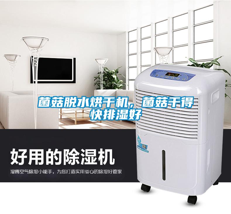 菌菇脫水烘干機，菌菇干得快排濕好