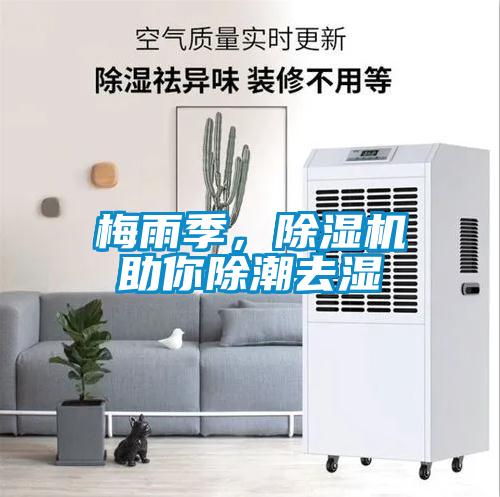 梅雨季，除濕機助你除潮去濕