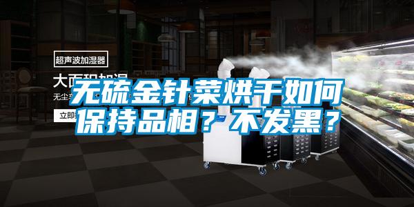 無(wú)硫金針菜烘干如何保持品相？不發(fā)黑？