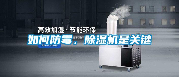 如何防霉，除濕機是關(guān)鍵