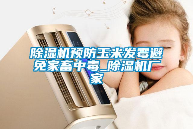 除濕機預防玉米發(fā)霉避免家畜中毒_除濕機廠(chǎng)家
