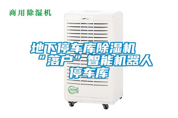 地下停車(chē)庫除濕機“落戶(hù)”智能機器人停車(chē)庫