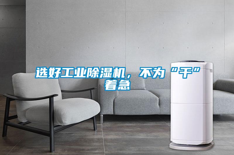 選好工業(yè)除濕機，不為“干”著(zhù)急