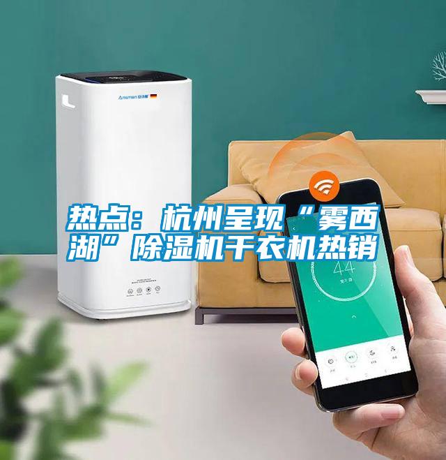 熱點(diǎn)：杭州呈現“霧西湖”除濕機干衣機熱銷(xiāo)