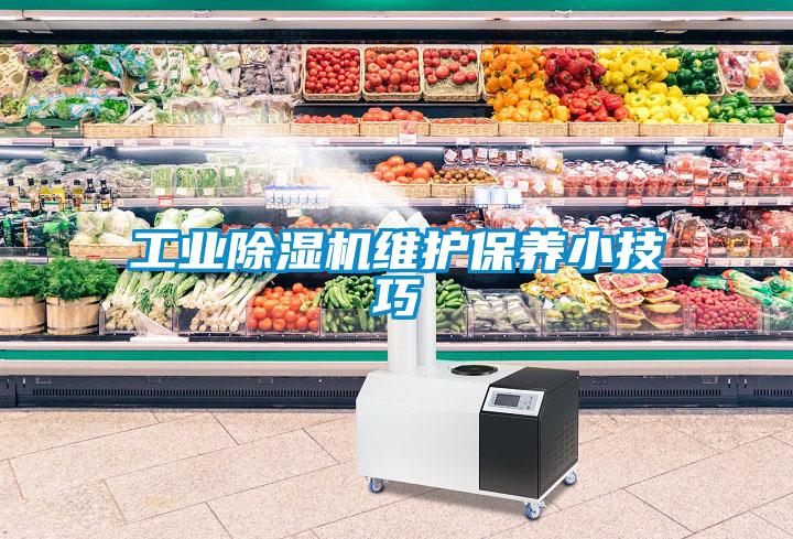 工業(yè)除濕機維護保養小技巧