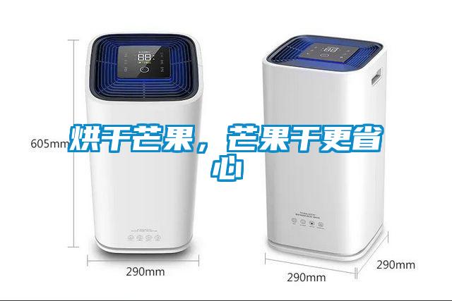 烘干芒果，芒果干更省心