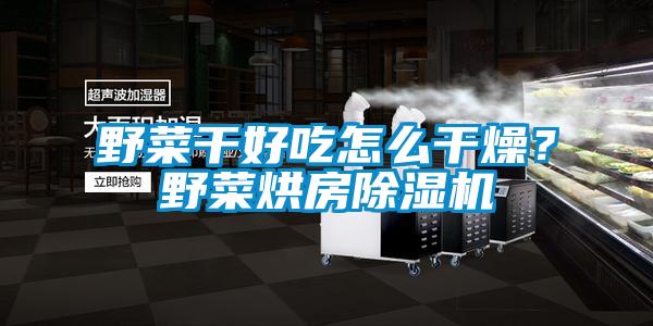 野菜干好吃怎么干燥？野菜烘房除濕機