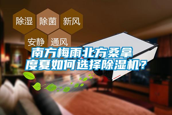 南方梅雨北方桑拿 度夏如何選擇除濕機？