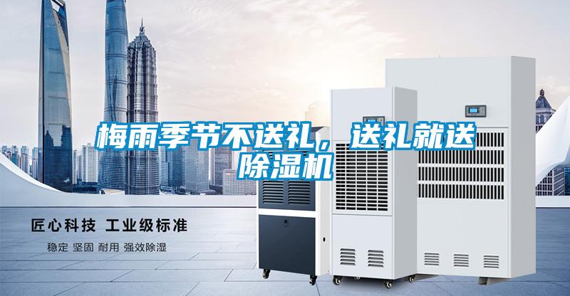 梅雨季節不送禮，送禮就送除濕機