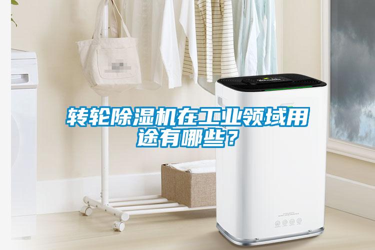 轉輪除濕機在工業(yè)領(lǐng)域用途有哪些？