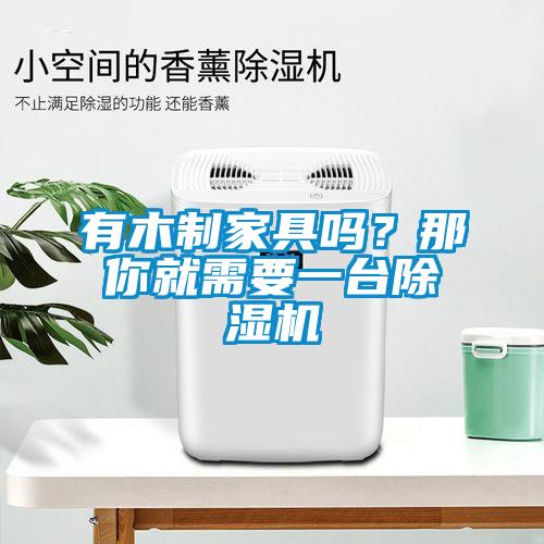 有木制家具嗎？那你就需要一臺除濕機