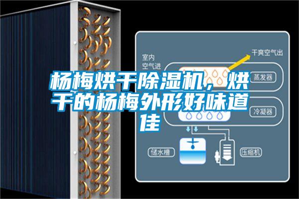 楊梅烘干除濕機，烘干的楊梅外形好味道佳