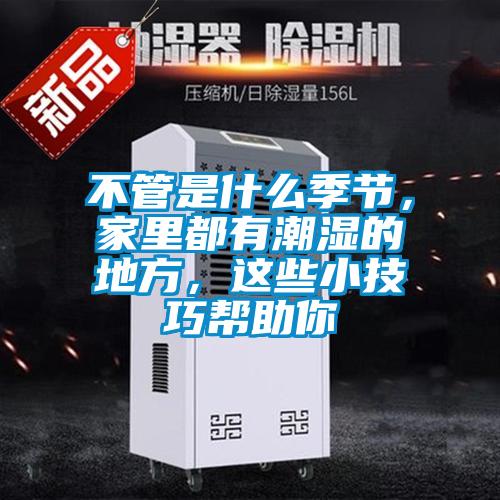 不管是什么季節，家里都有潮濕的地方，這些小技巧幫助你