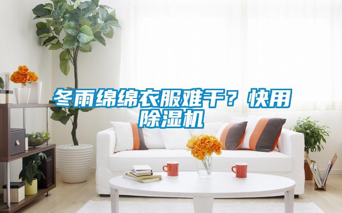 冬雨綿綿衣服難干？快用除濕機