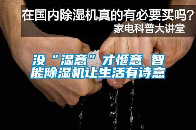 沒(méi)“濕意”才愜意 智能除濕機讓生活有詩(shī)意