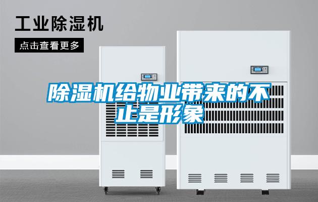 除濕機給物業(yè)帶來(lái)的不止是形象