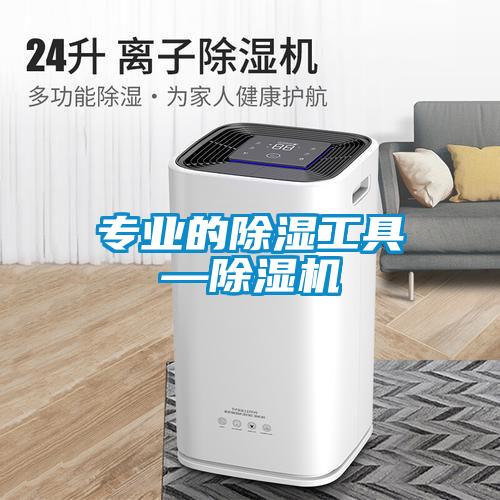 專(zhuān)業(yè)的除濕工具—除濕機