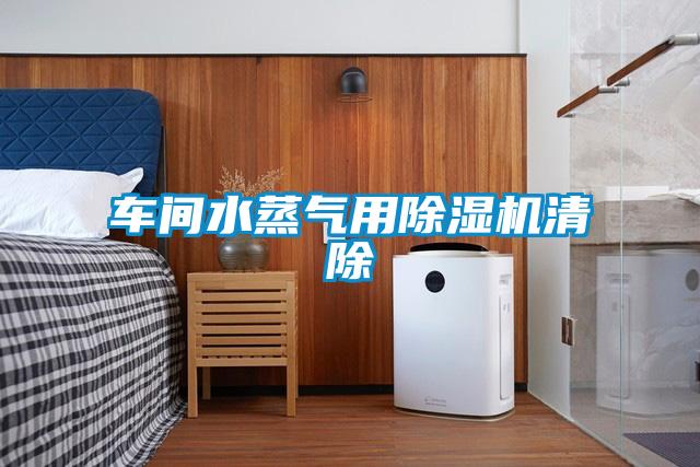 車(chē)間水蒸氣用除濕機清除